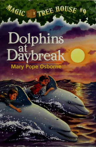 Dolphins at daybreak