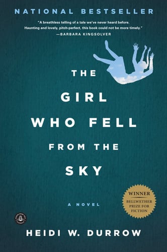 The girl who fell from the sky: a novel