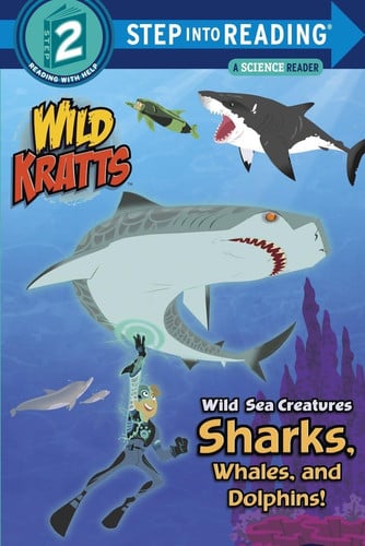 Wild sea creatures: sharks, whales, and dolphins!