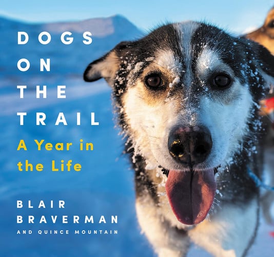 Dogs on the trail: a year in the life