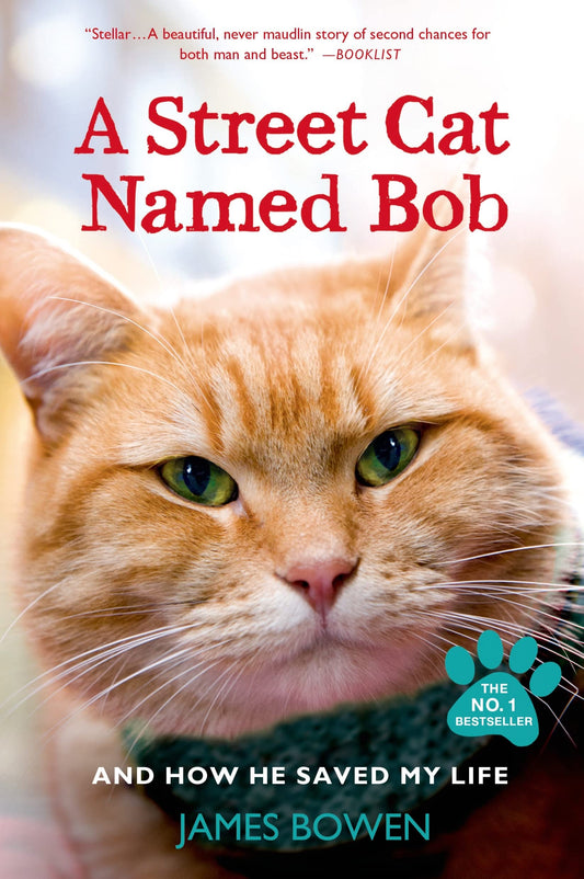 A Street Cat Named Bob: And How He Saved My Life - 4262