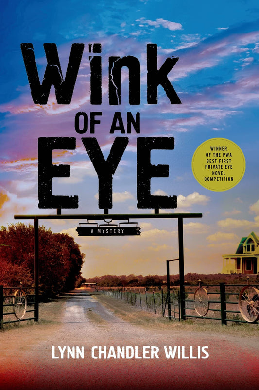 Wink of an Eye: A Mystery