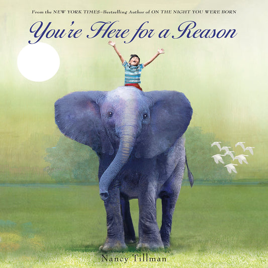 You're Here for a Reason (Nancy Tillman Collection) - 2558