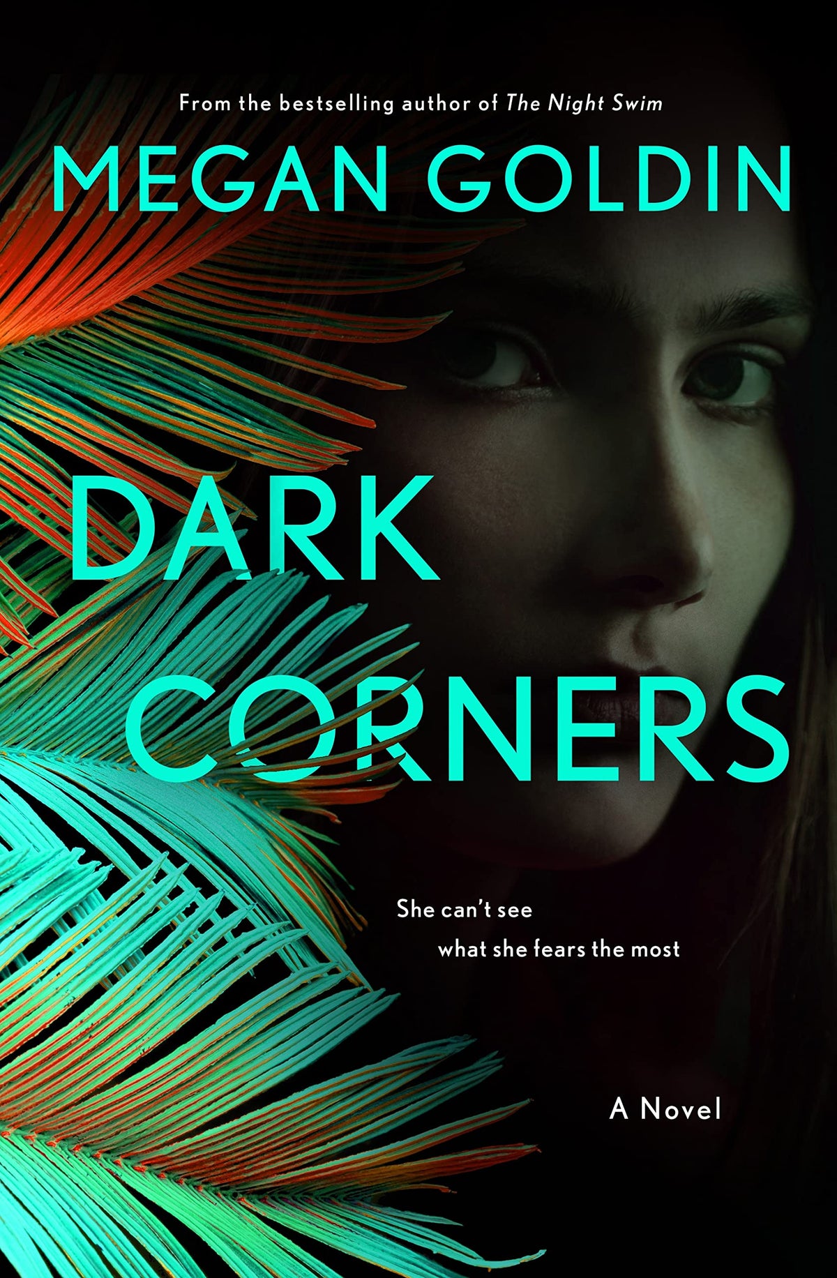 Dark Corners: A Novel (Rachel Krall, 2)