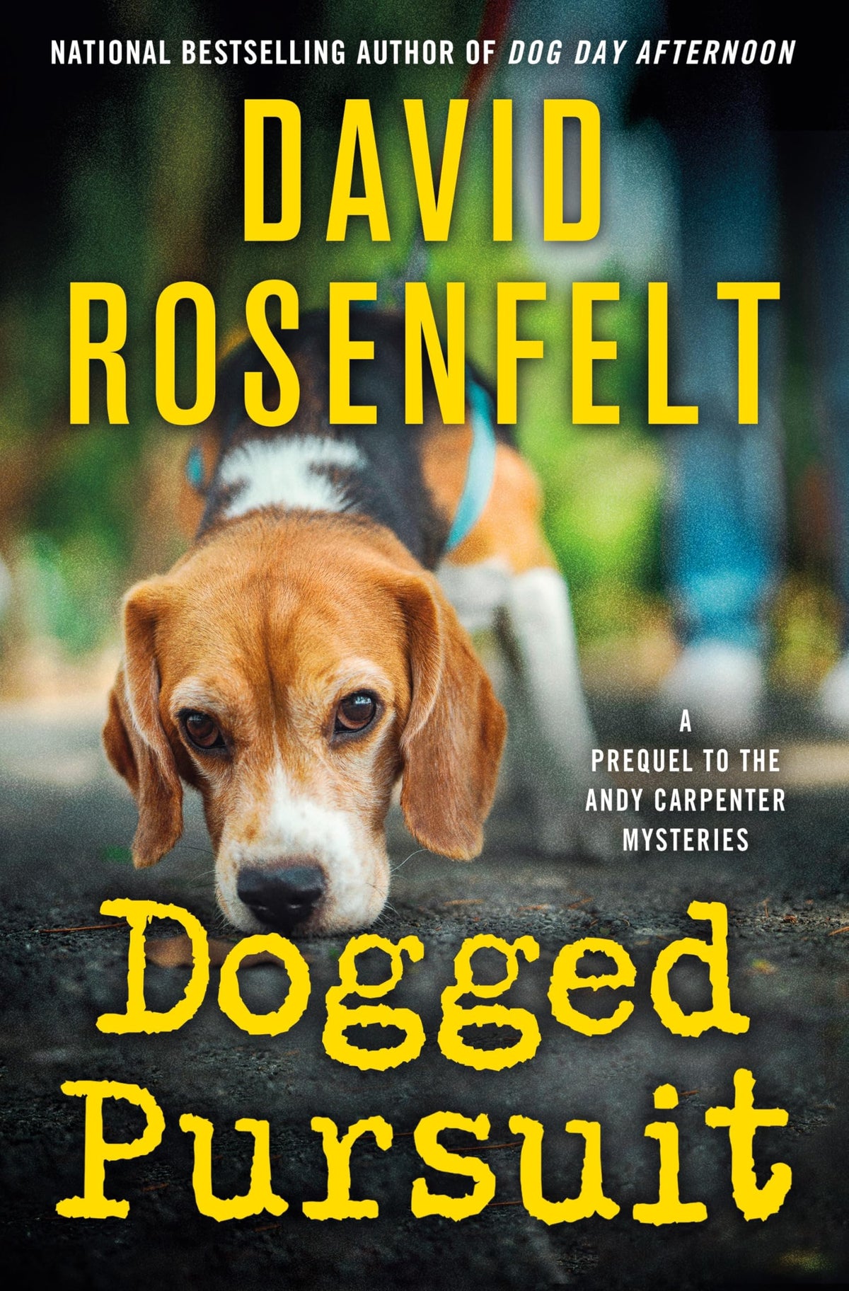 Dogged Pursuit: An Andy Carpenter Mystery (An Andy Carpenter Novel, 31)