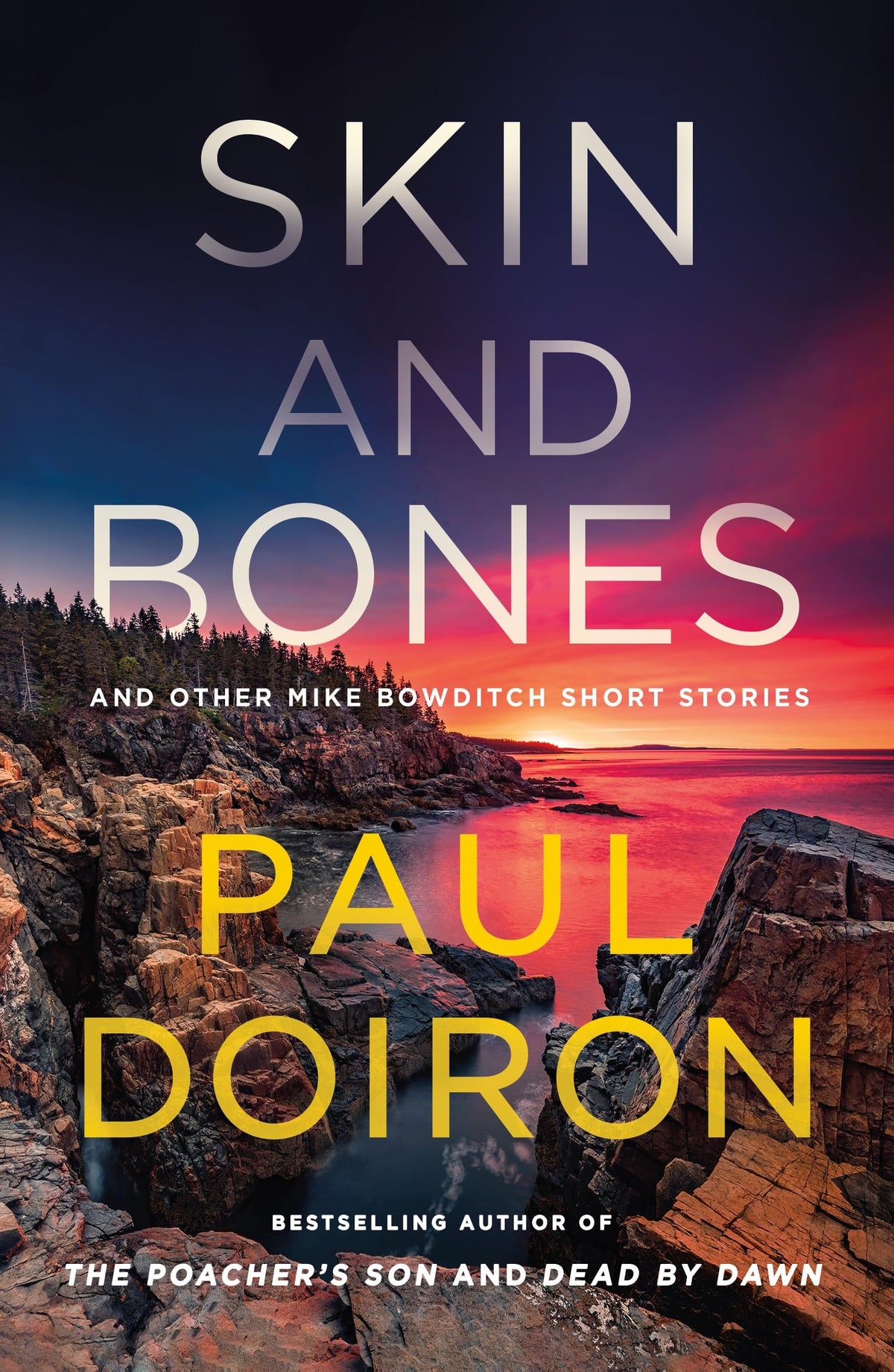 Skin and Bones (Mike Bowditch Mysteries)