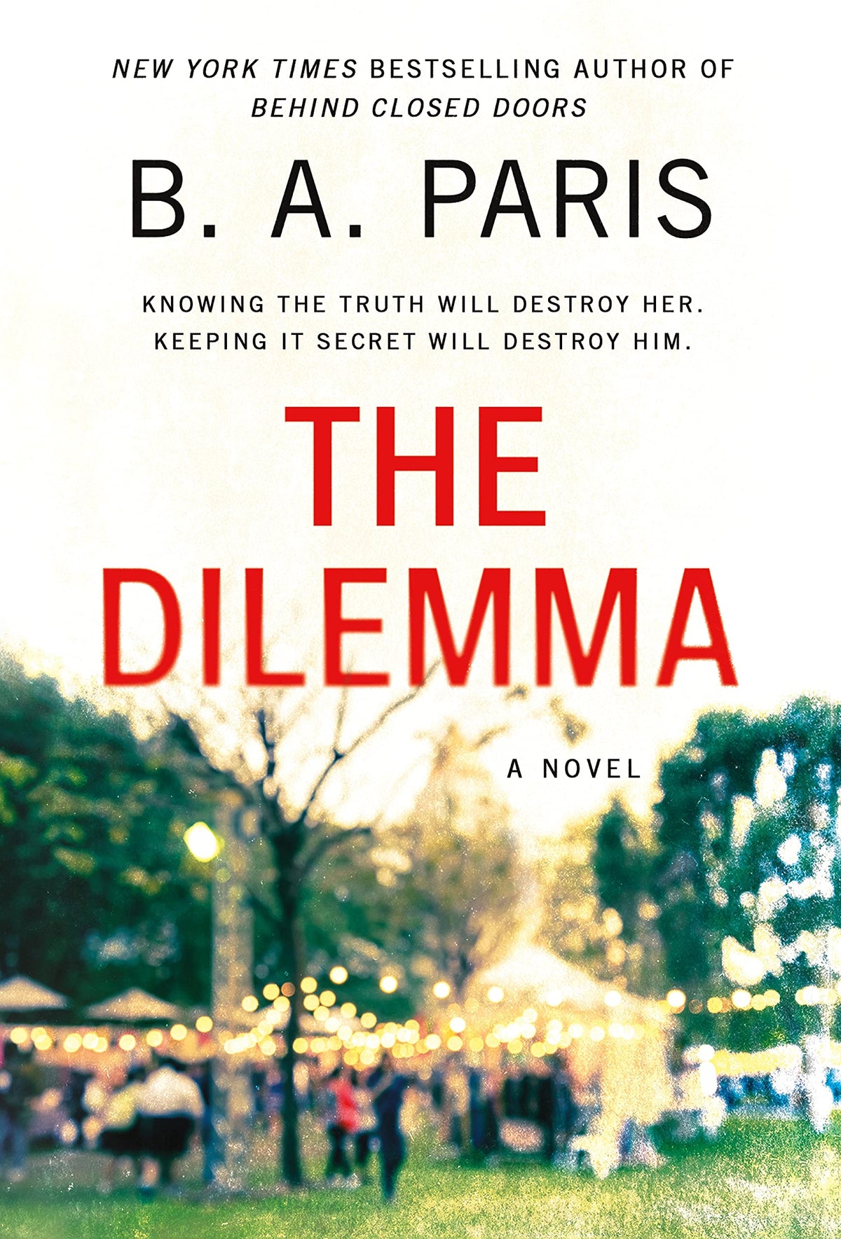 The Dilemma: A Novel
