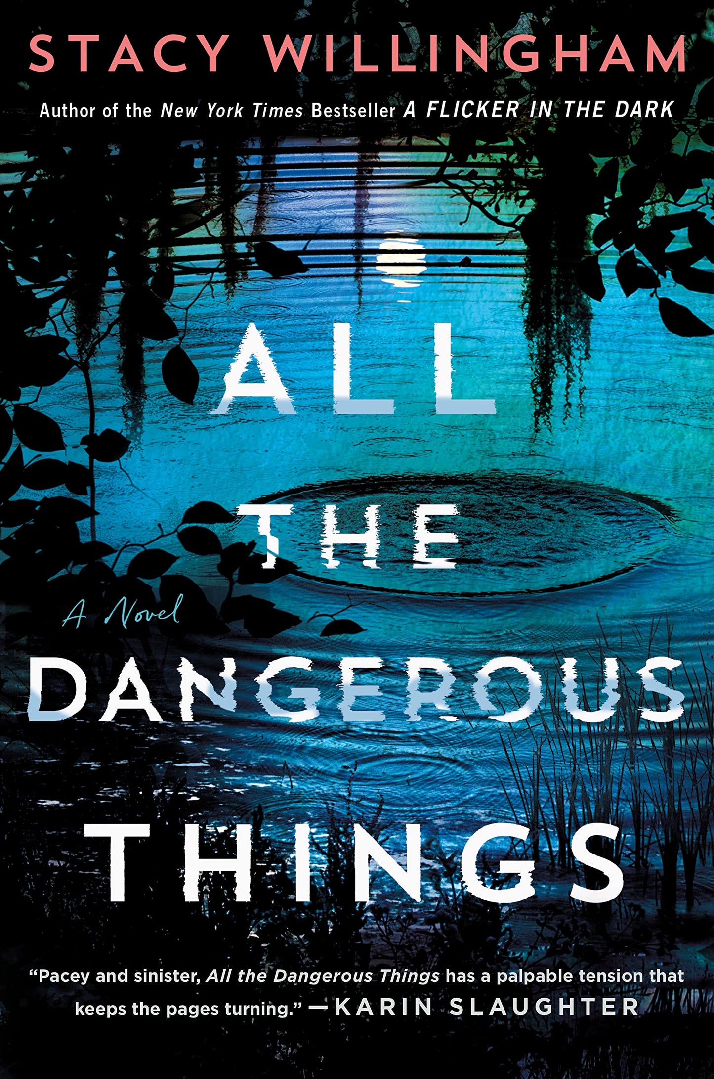 All the Dangerous Things (International Edition)