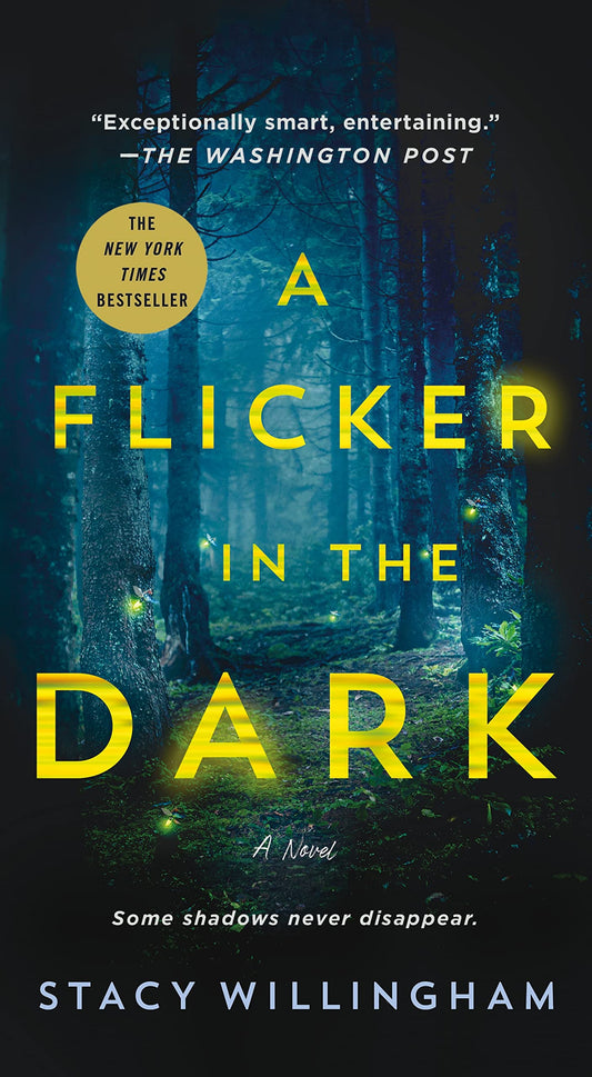 A Flicker in the Dark: A Novel