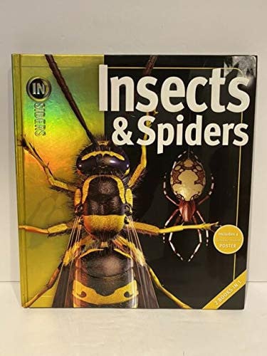 Insects & Spiders