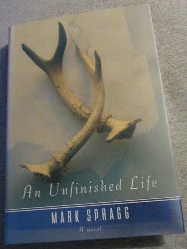 An unfinished life: a novel
