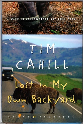Lost in my own backyard: a walk in Yellowstone National Park