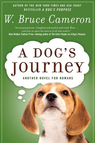 A dog's journey