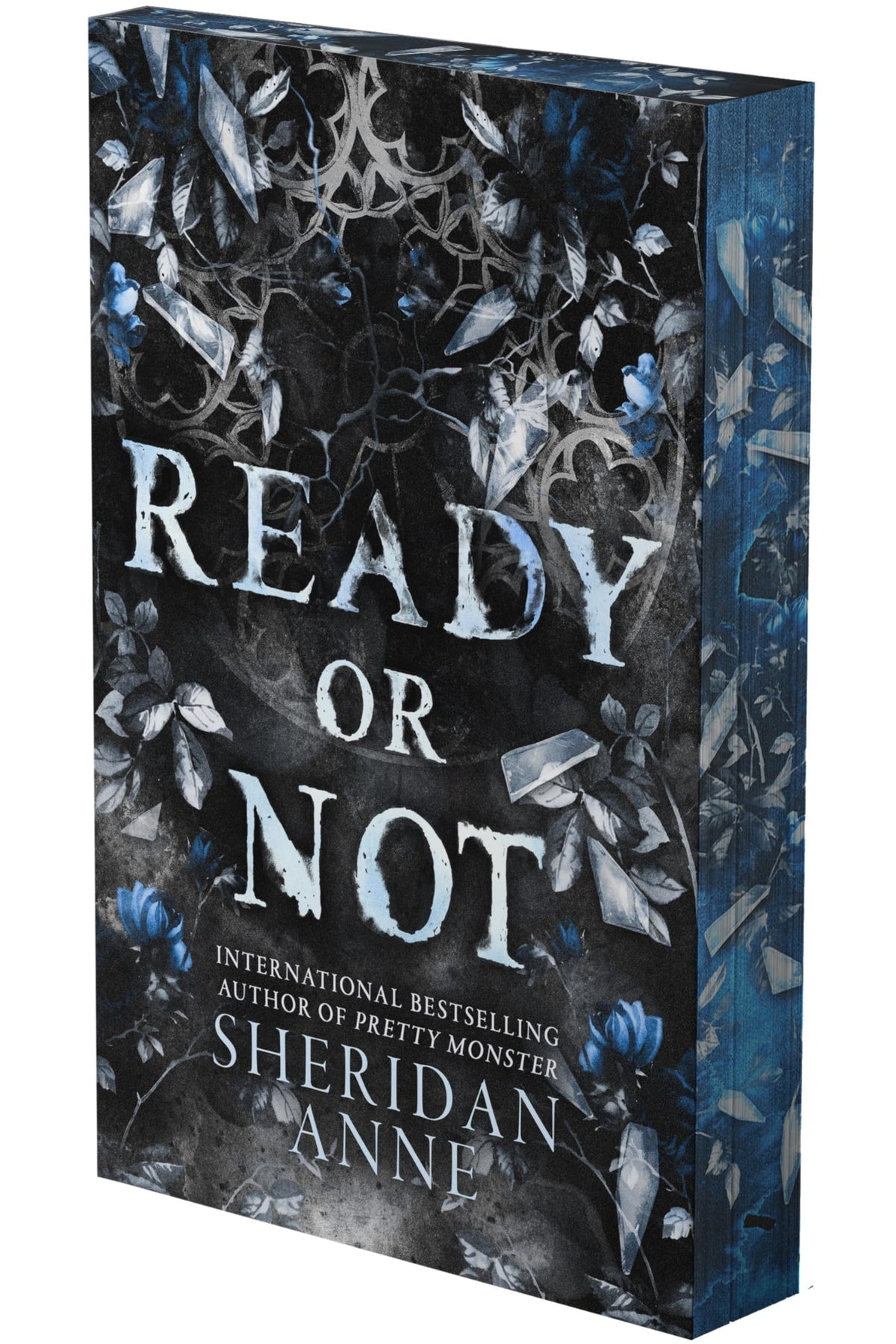 Ready Or Not A Dark Romance