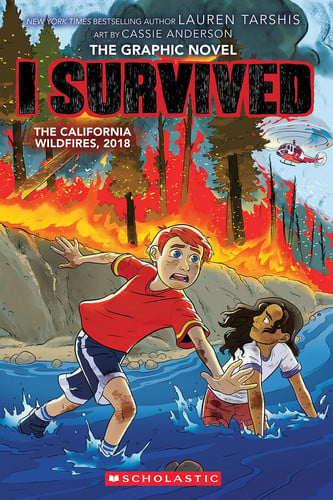 I survived the California wildfires, 2018 (graphix)