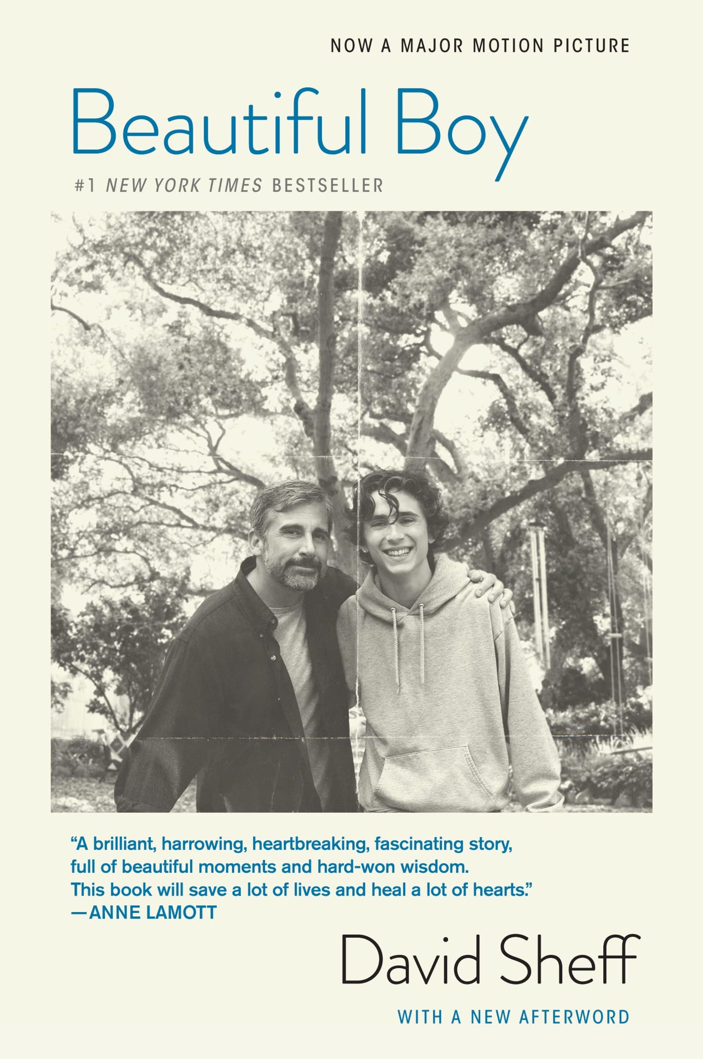 Beautiful Boy (tie-In): A Father's Journey Through His Son's Addiction - 8055