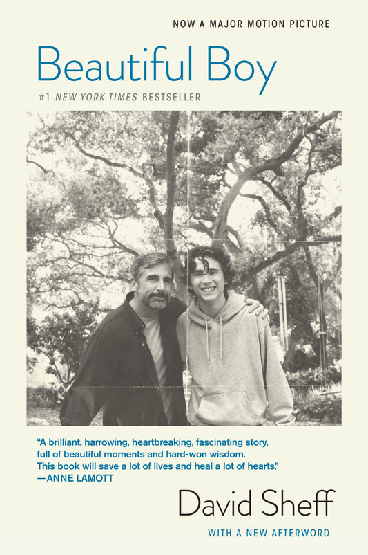 Beautiful Boy (tie-In): A Father's Journey Through His Son's Addiction - 8055