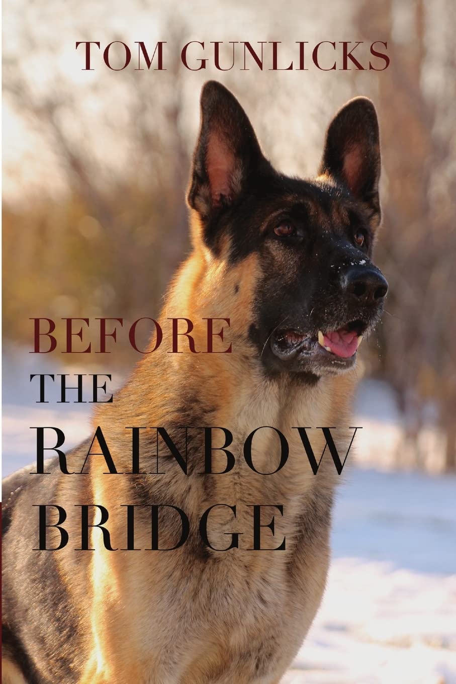 Before the Rainbow Bridge