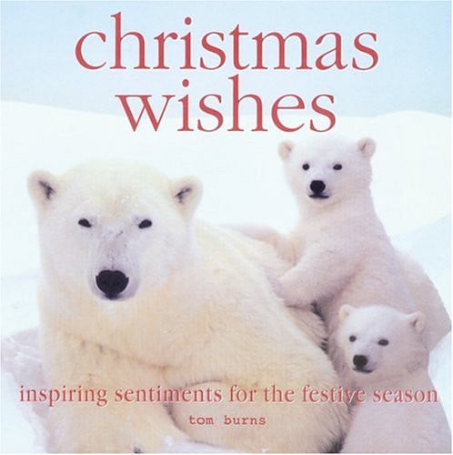 Christmas Wishes Inspiring Sentiments for the Festive Season