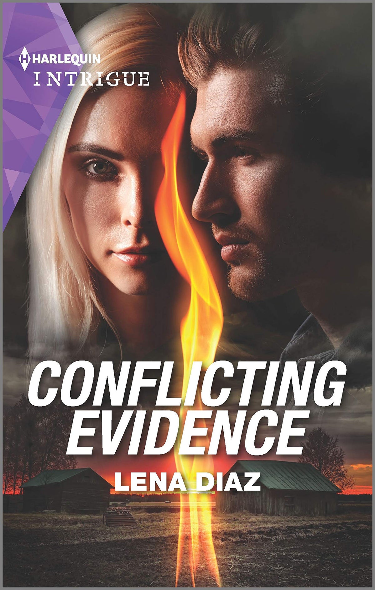 Conflicting Evidence (The Mighty McKenzies, 3)