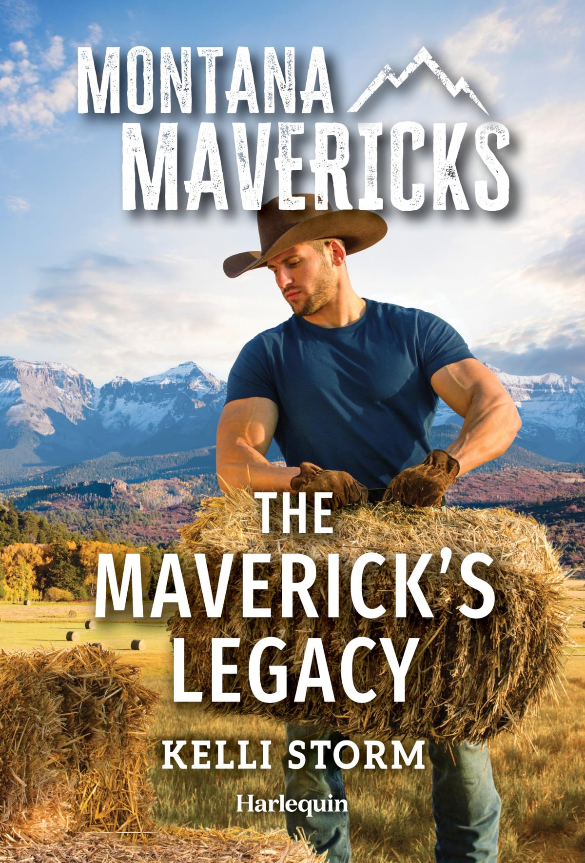 The Maverick's Legacy (Montana Mavericks: Hidden Gems Ranch, 2)