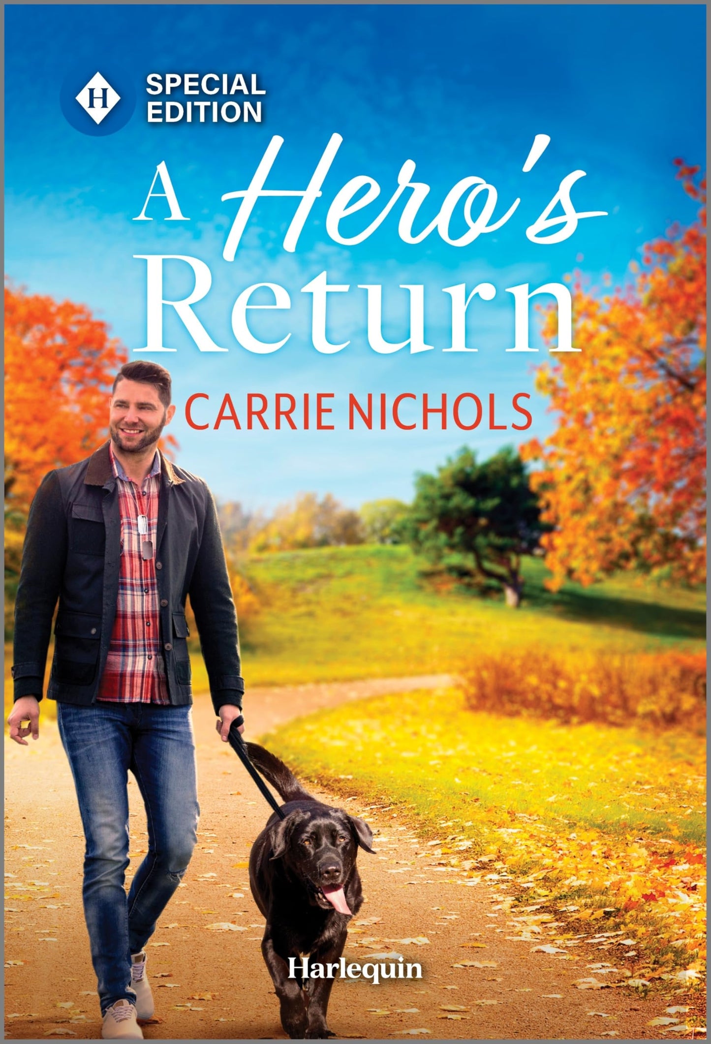 A Hero's Return: Widowed Single Mom Falls for Grumpy Pilot (Finding Forever in Sandy Shores, 1)