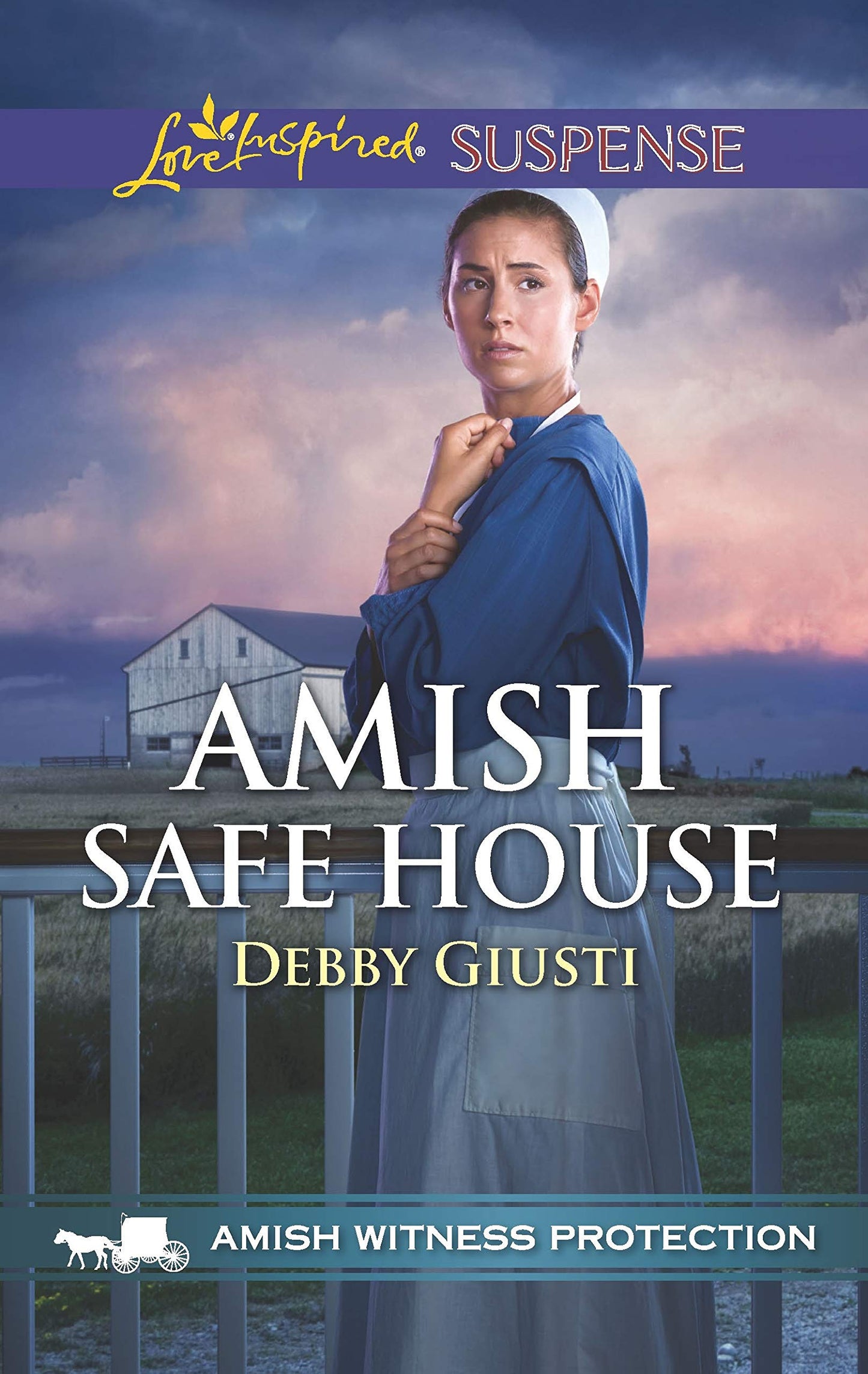 Amish Safe House (Amish Witness Protection, 2)