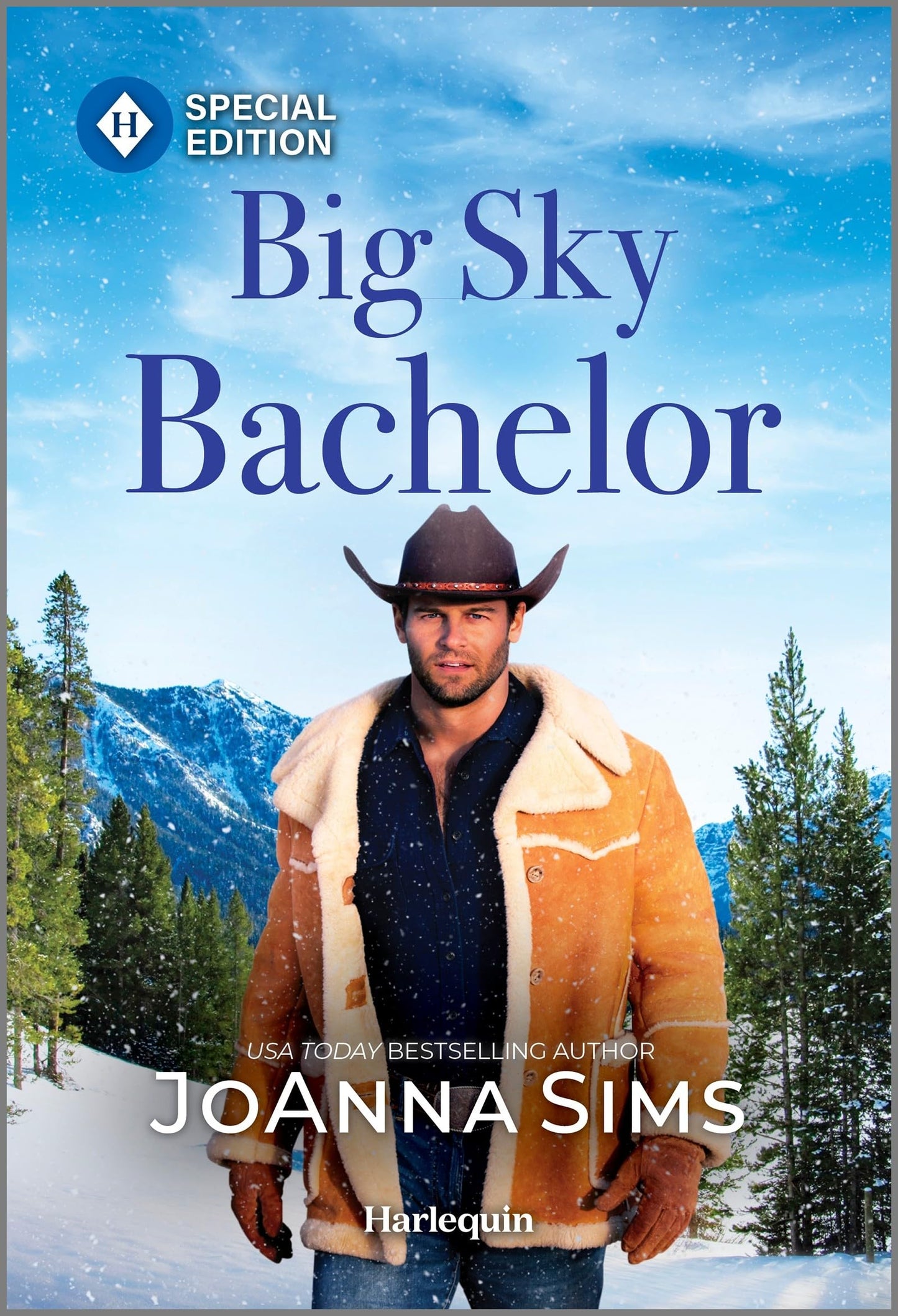 Big Sky Bachelor: Small-Town Romance with a Big-City Twist (The Brands of Montana, 16) - 8579