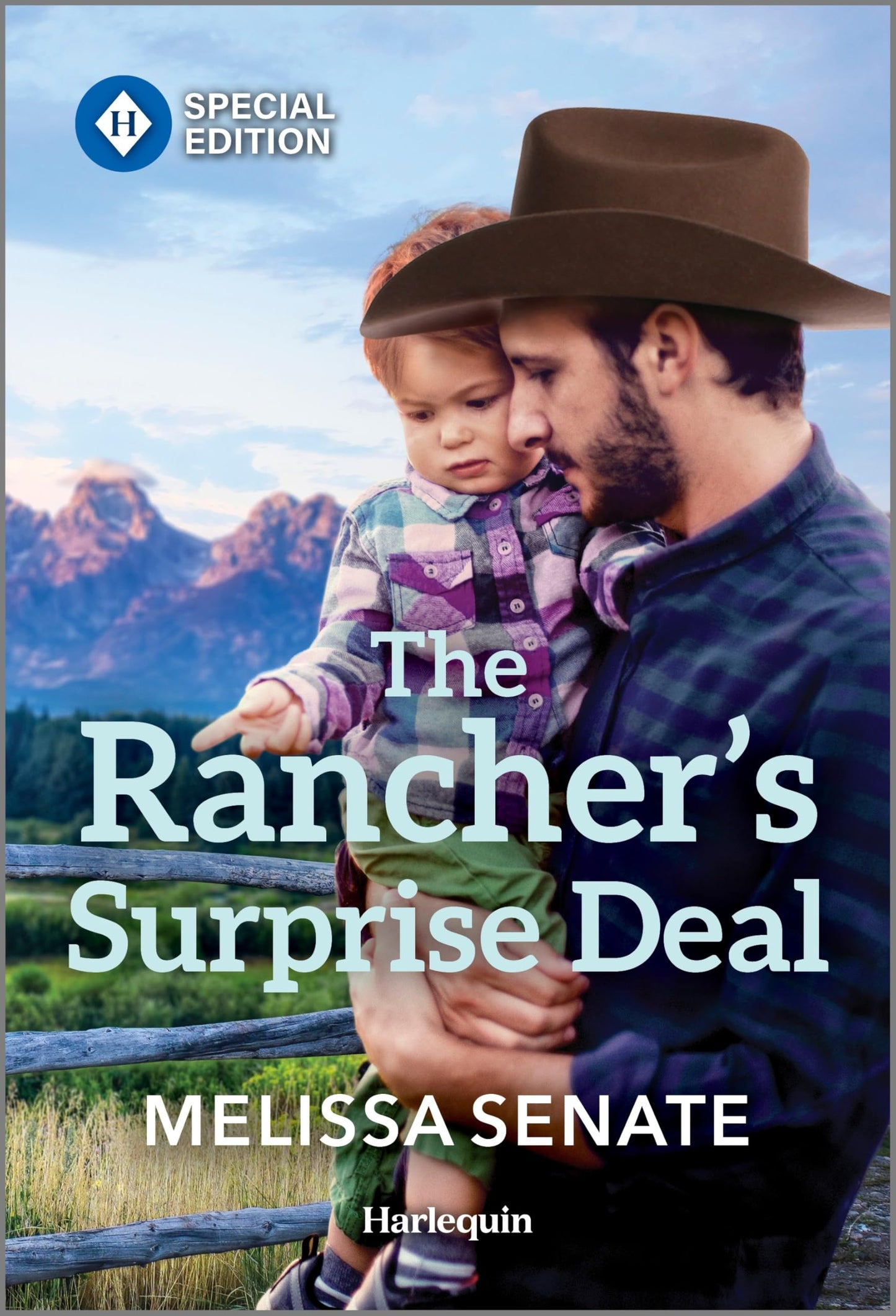 The Rancher's Surprise Deal: Single-Dad Rancher's Second Chance at Romance (Dawson Family Ranch, 16)