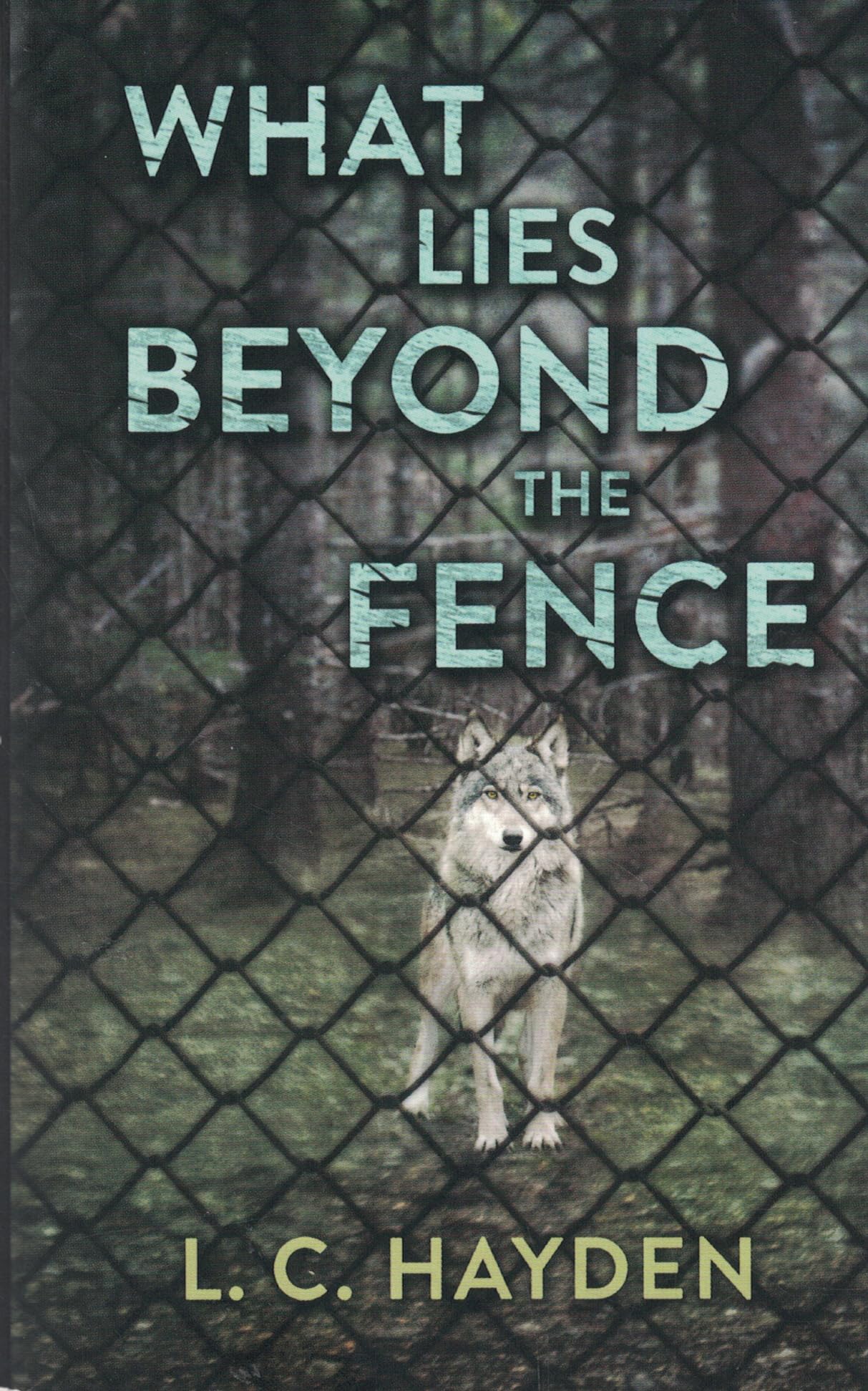 What Lies Beyond the Fence