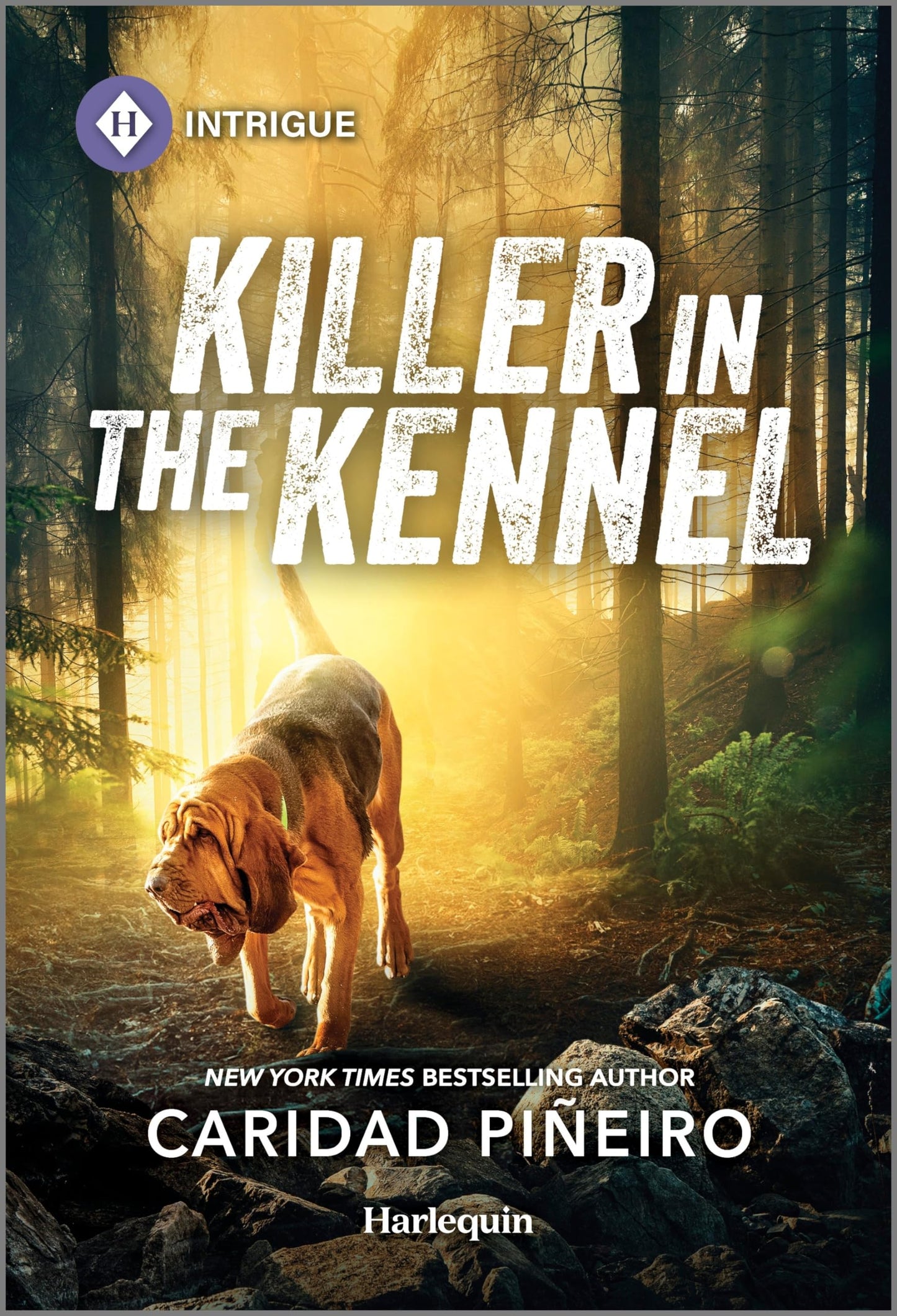 Killer in the Kennel: A Thrilling K-9 Romantic Suspense Book (South Beach Security: K-9 Division, 3)