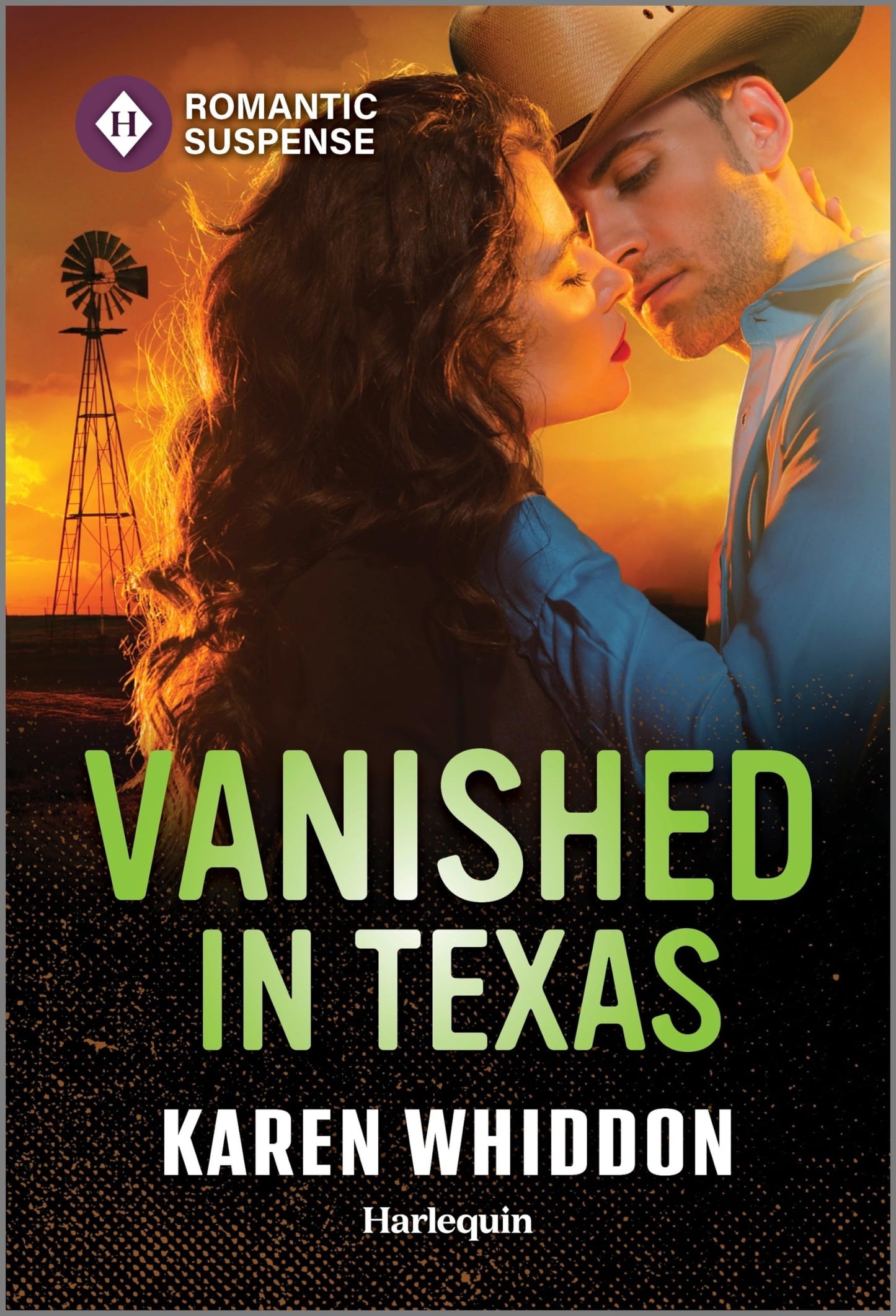 Vanished in Texas (Harlequin Romantic Suspense)