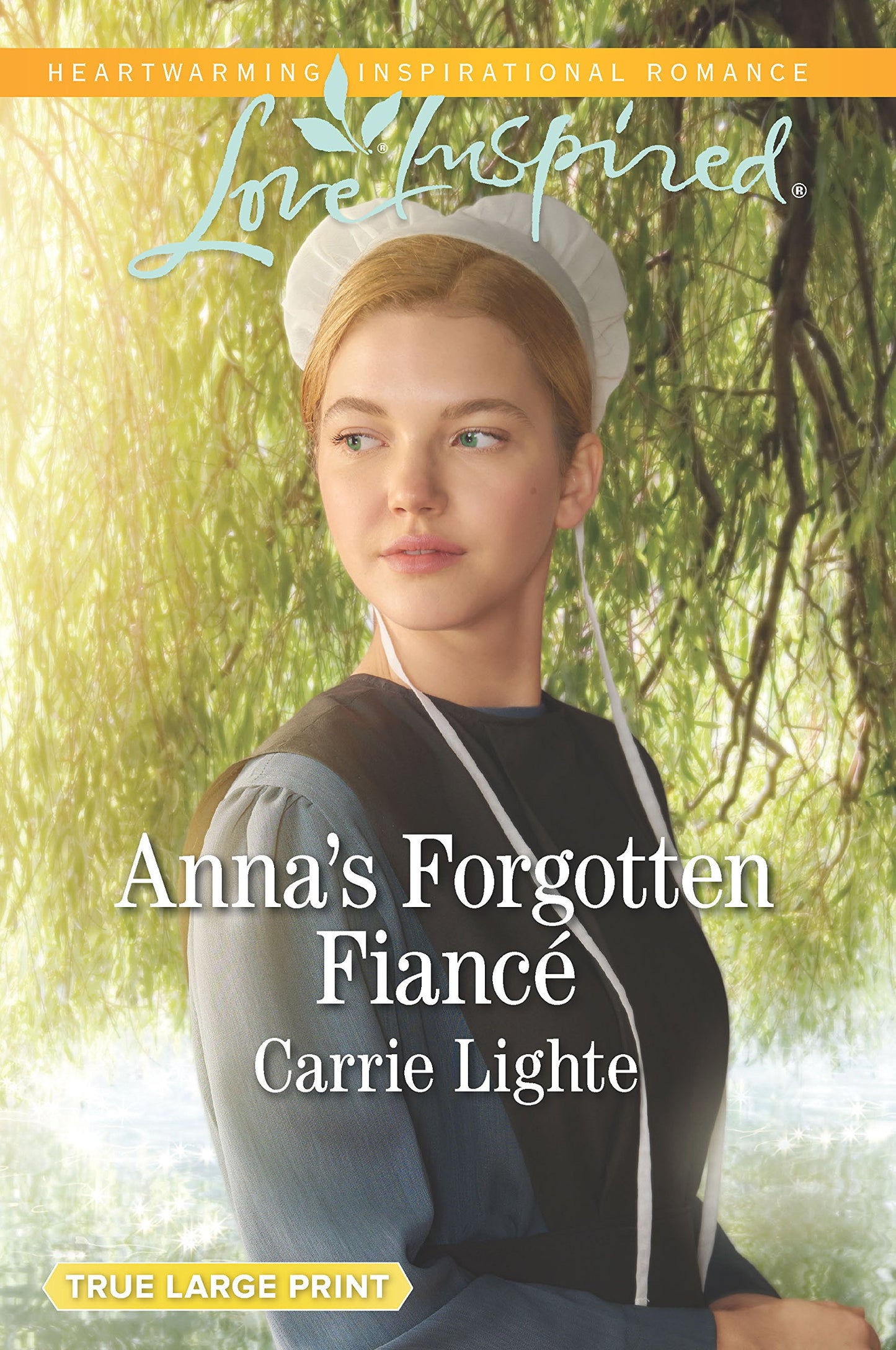 Anna's Forgotten Fiancé (Amish Country Courtships, 2)