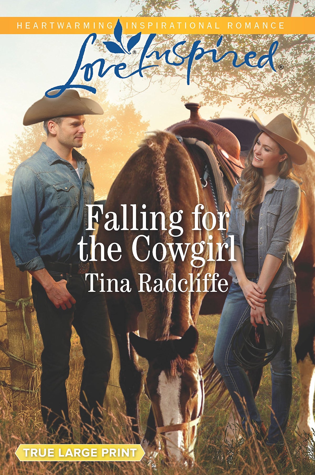 Falling for the Cowgirl (Big Heart Ranch, 2)
