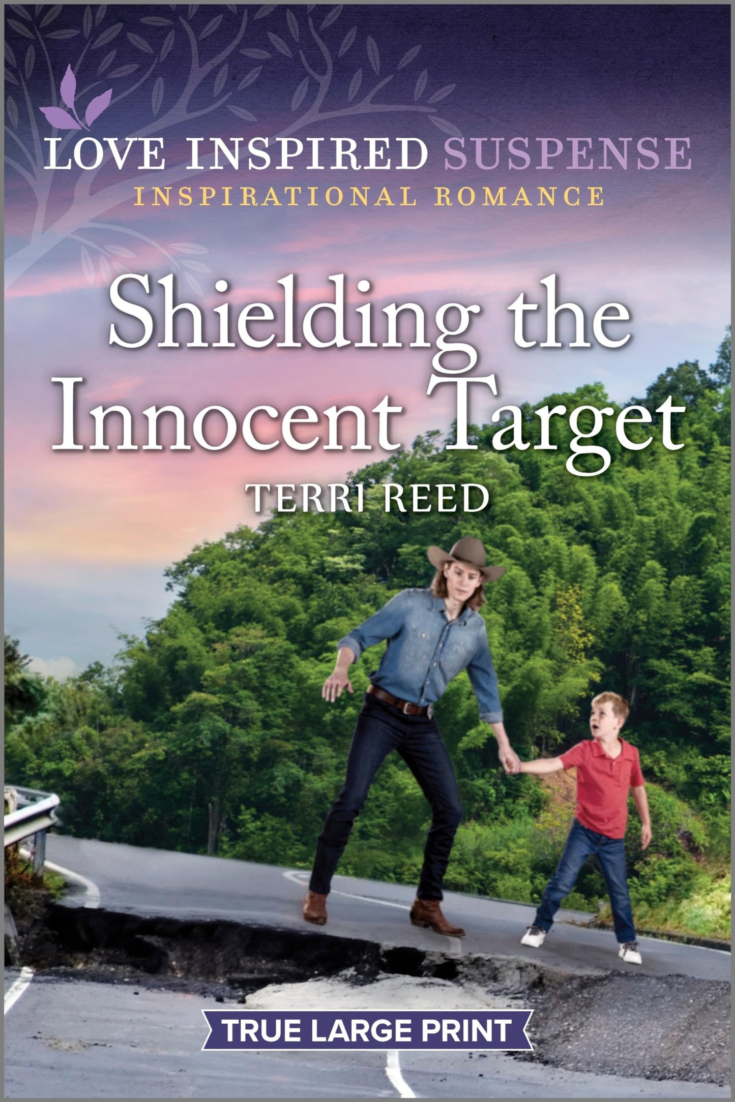 Shielding the Innocent Target (Love Inspired Suspense) - 3652