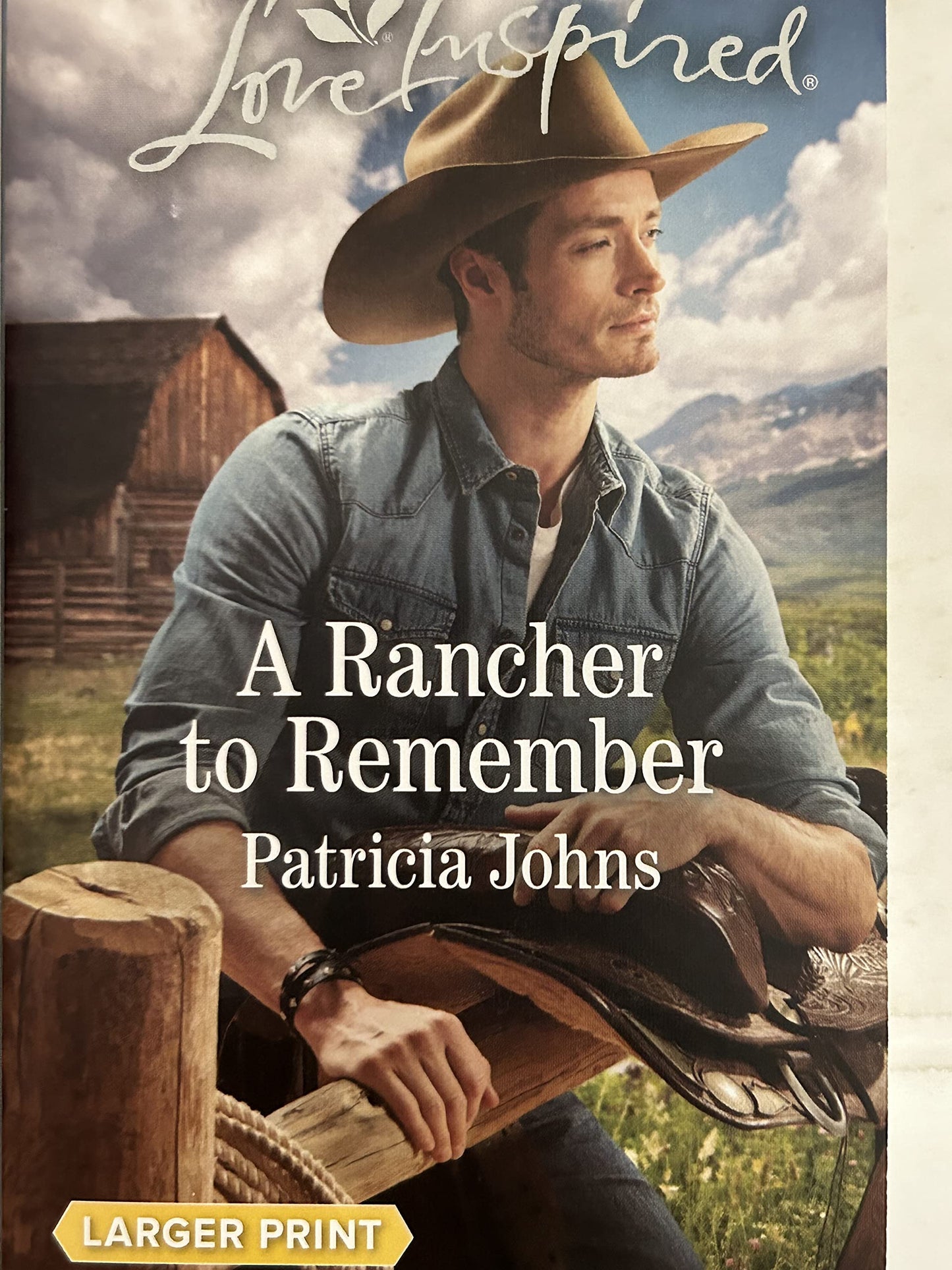 A Rancher to Remember (Montana Twins)