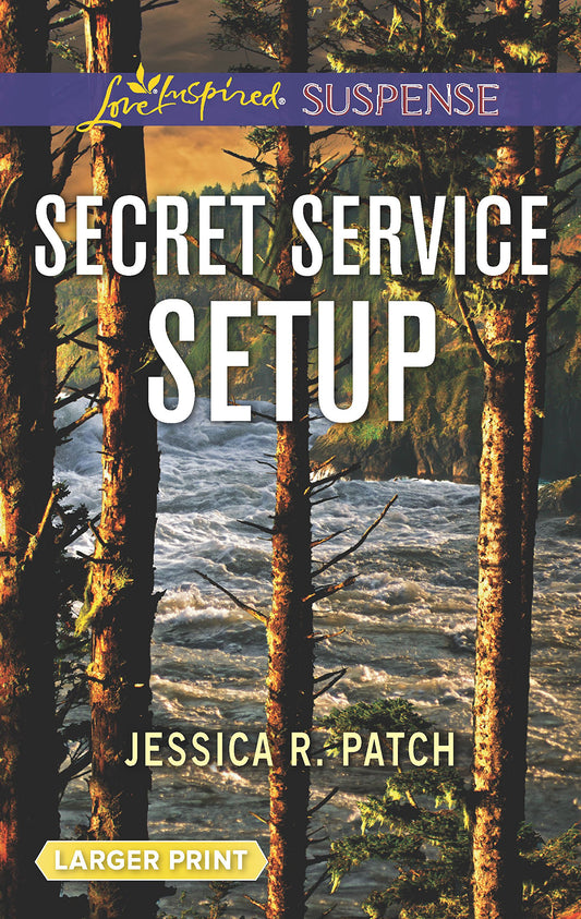 Secret Service Setup (The Security Specialists, 2)
