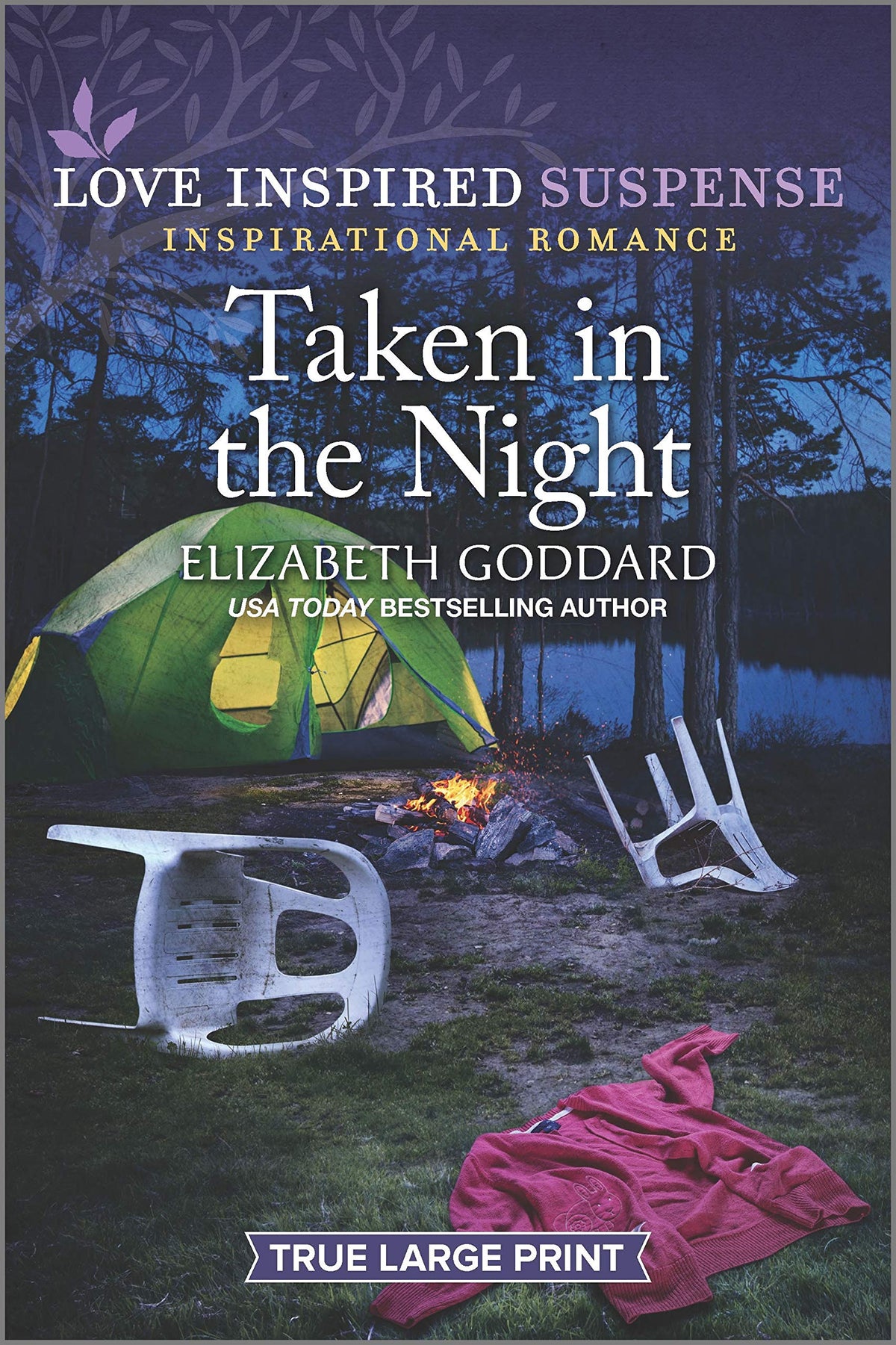 Taken in the Night (Mount Shasta Secrets, 3)