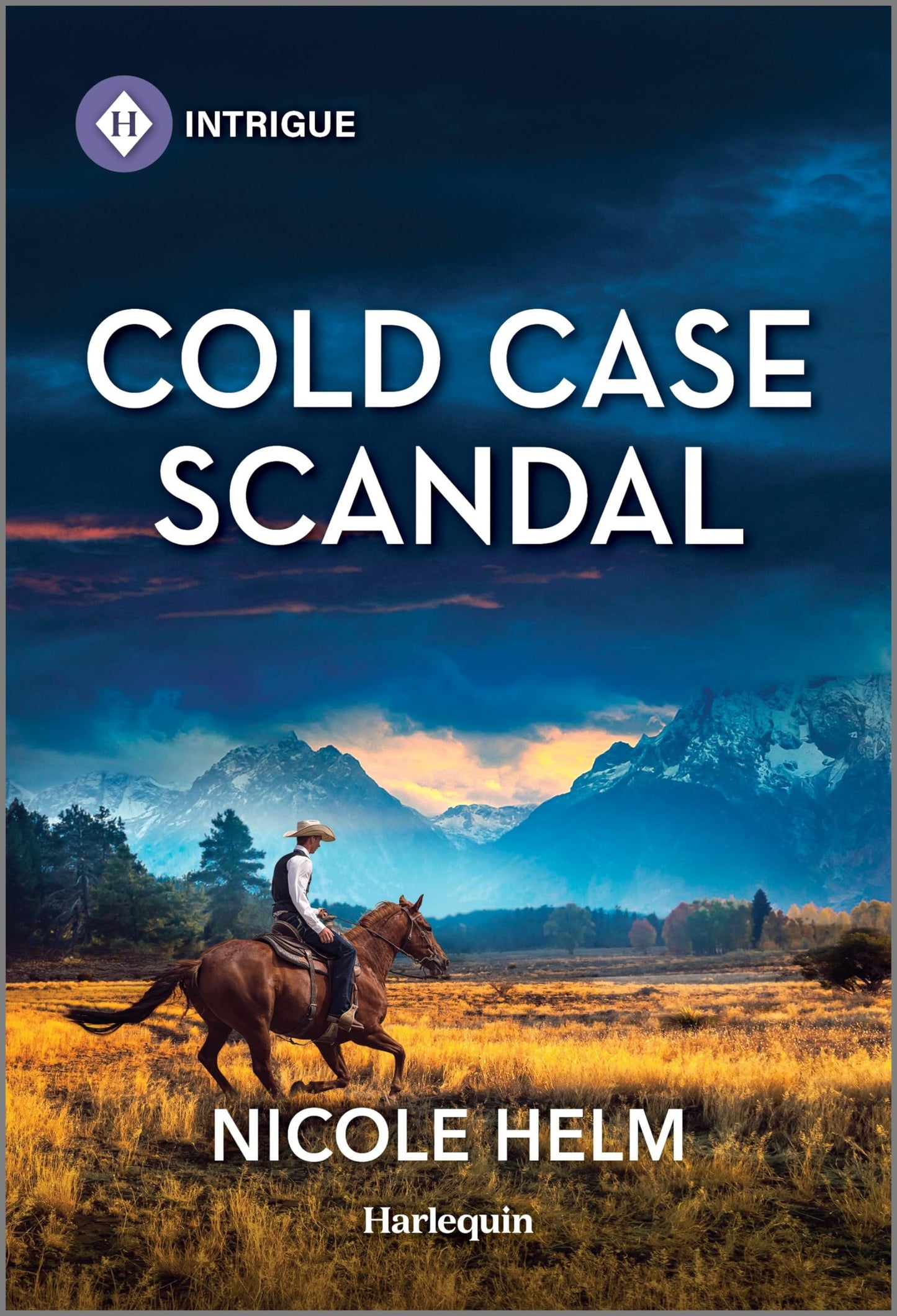 Cold Case Scandal (Hudson Sibling Solutions, 4) - 585