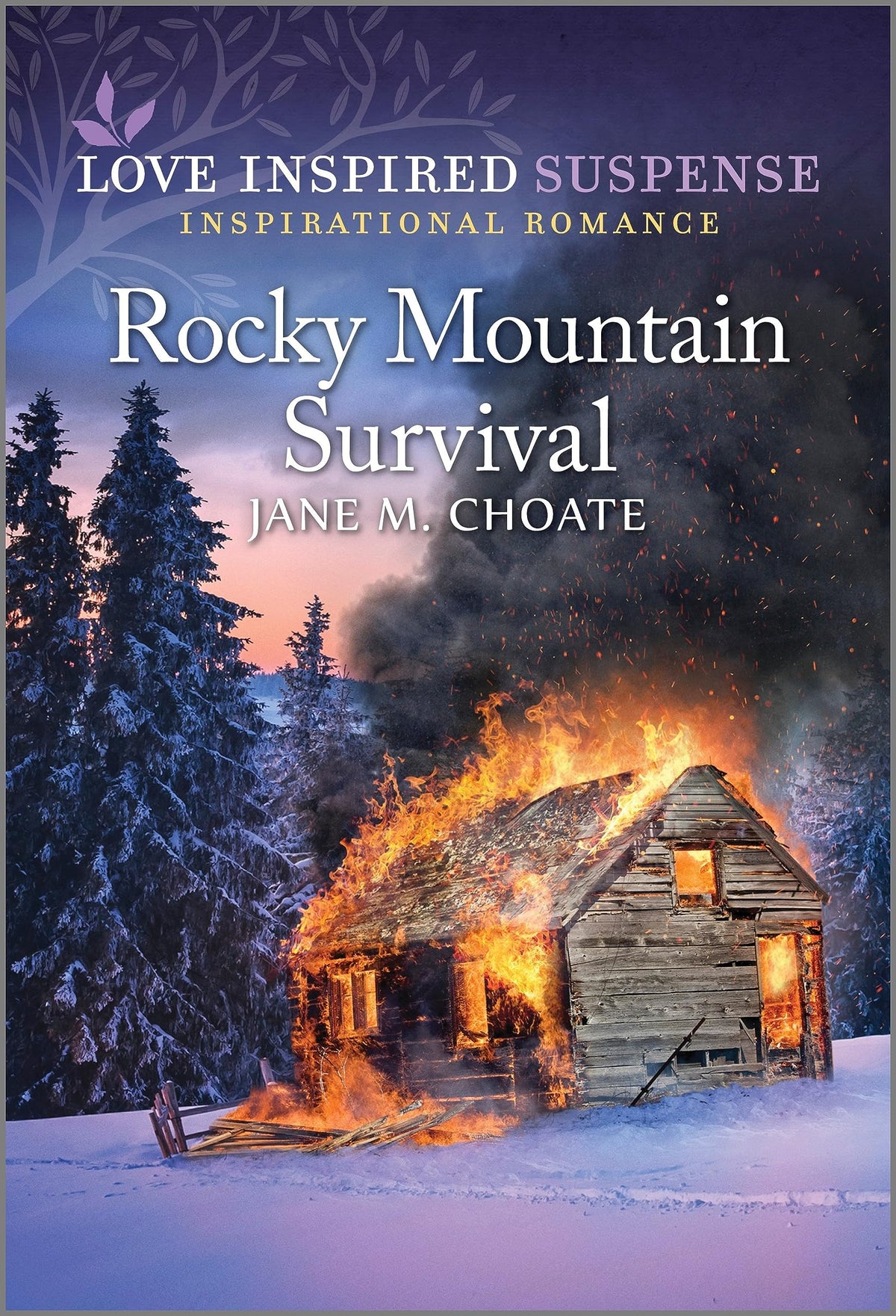 Rocky Mountain Survival (Love Inspired Suspense)