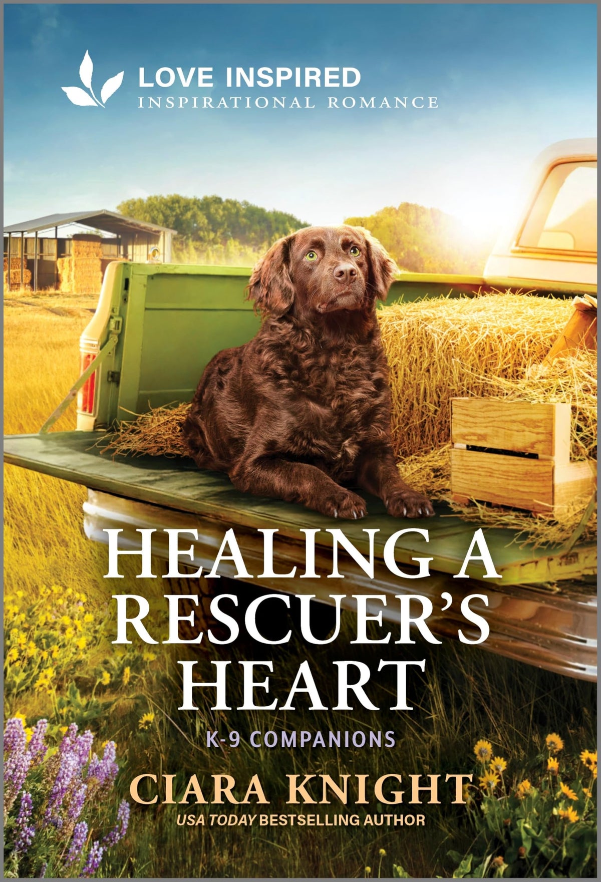 Healing a Rescuer's Heart: An Uplifting Inspirational Romance (K-9 Companions, 43)