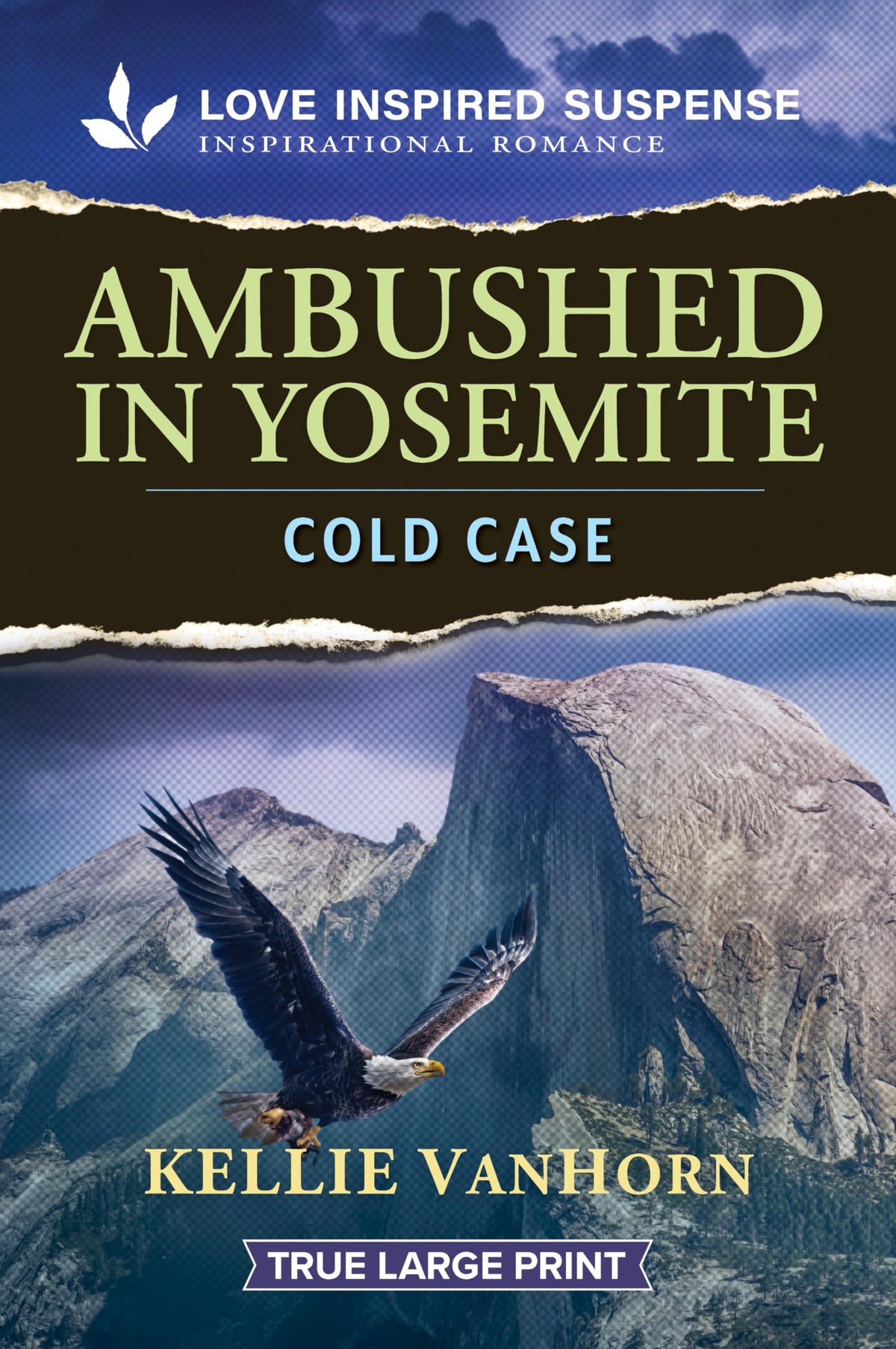 Ambushed in Yosemite (Park Ranger Agents, 1)