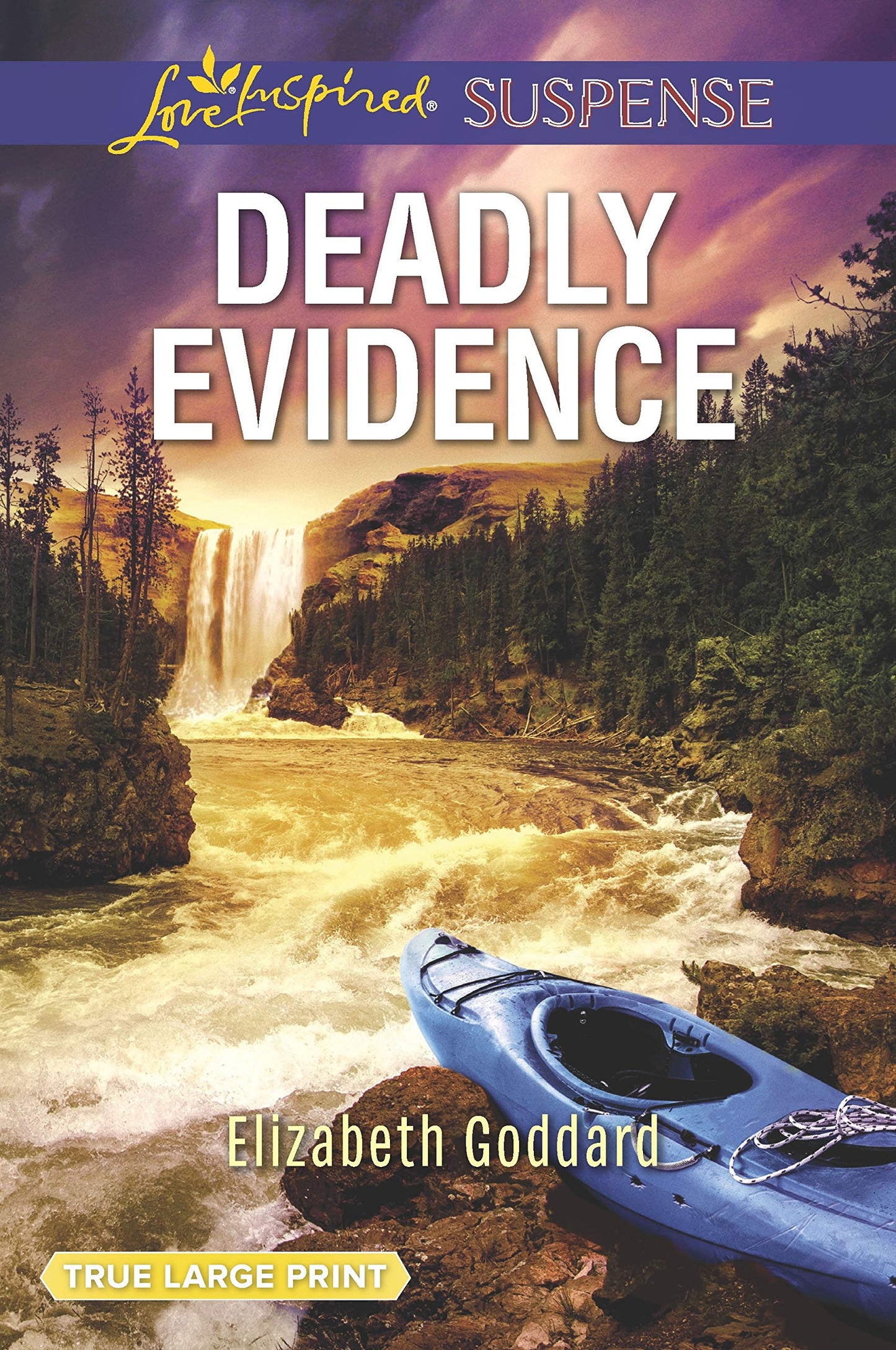 Deadly Evidence (Mount Shasta Secrets, 1)