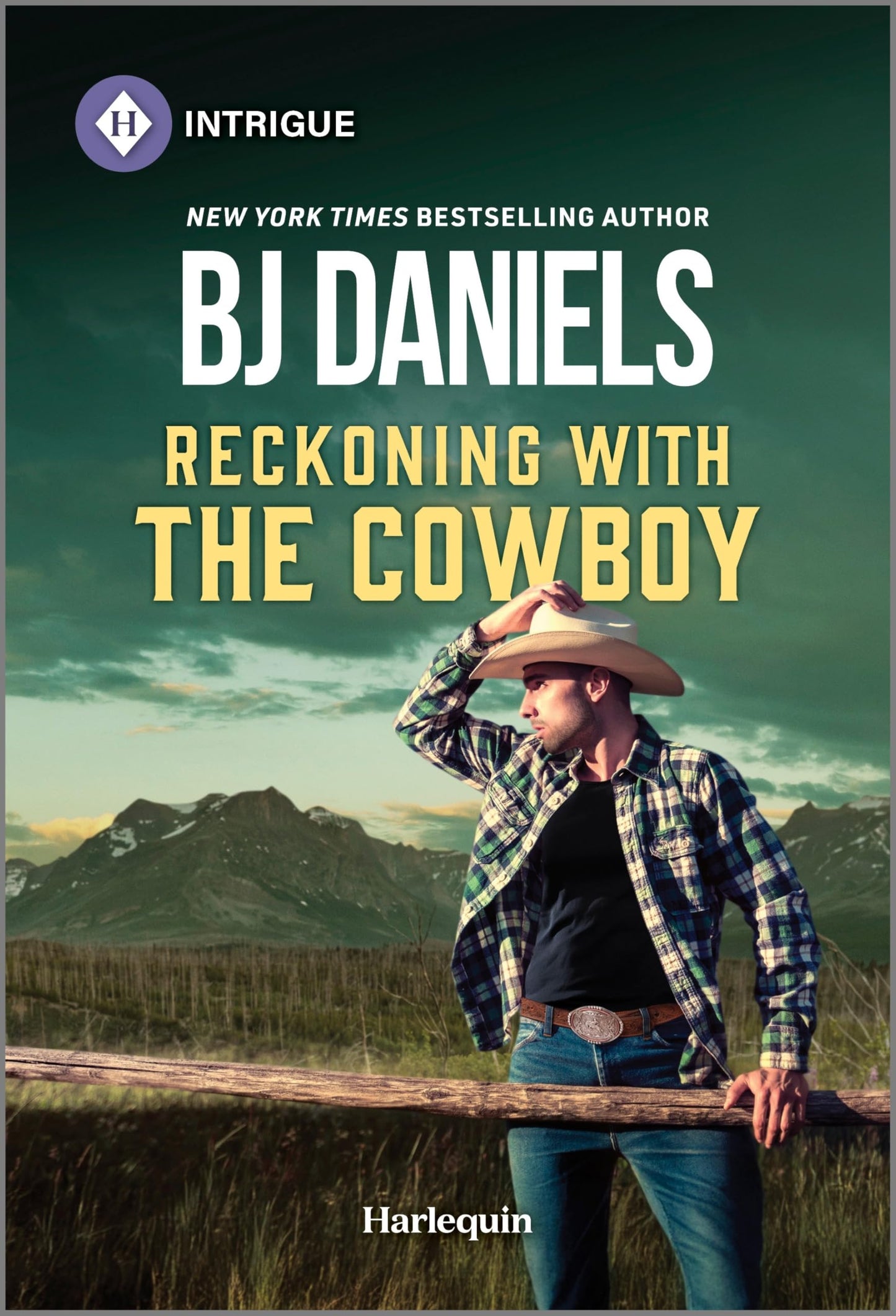 Reckoning with the Cowboy (Dry Gulch, Montana, 1)
