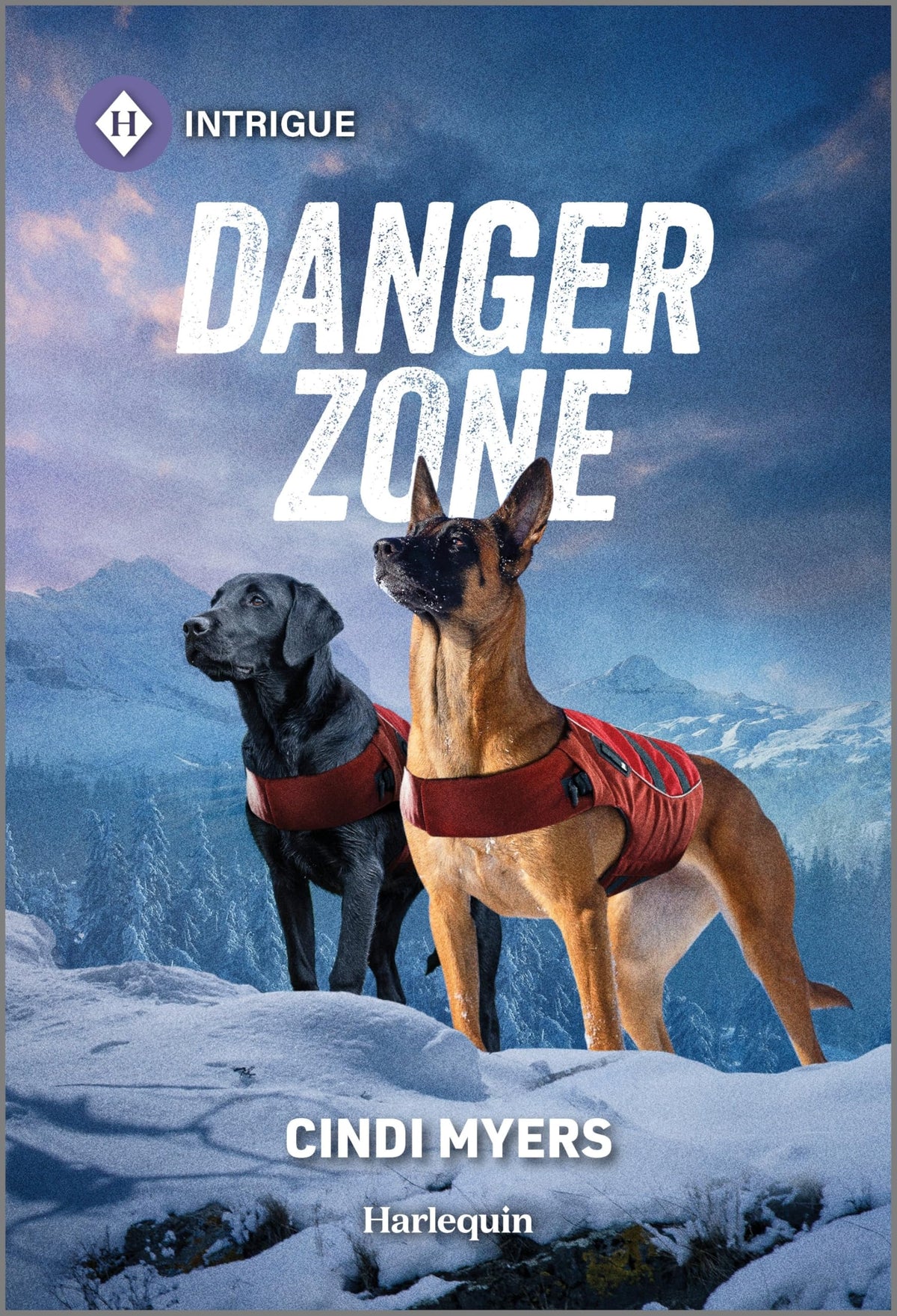 Danger Zone: A K-9 Search and Rescue Romance (K-9 Avalanche Rescue, 1)