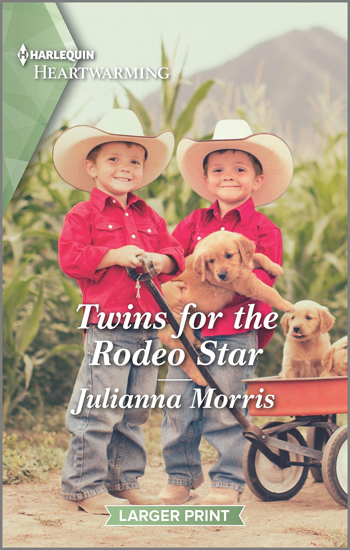 Twins for the Rodeo Star: A Clean Romance (Hearts of Big Sky, 1)