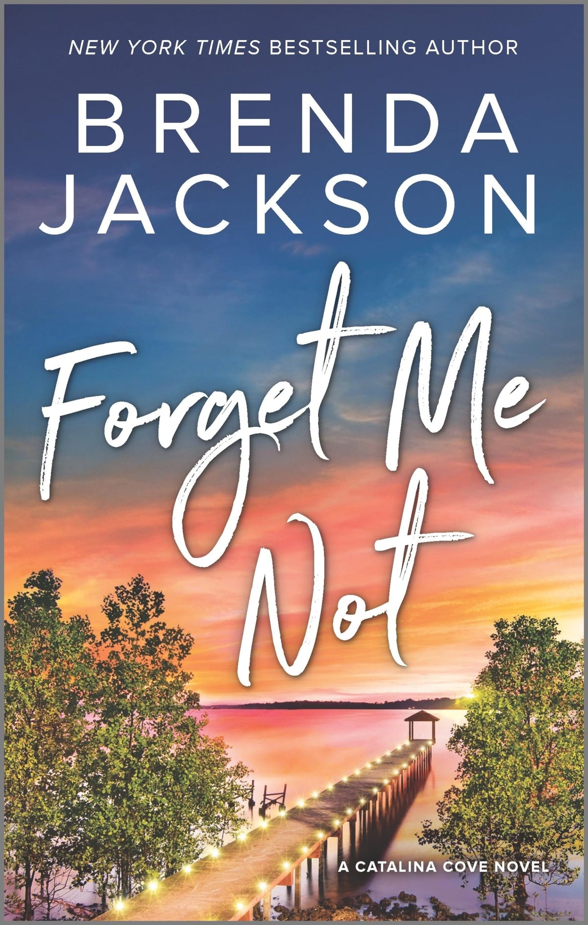 Forget Me Not: A Small Town Romance of Second Chances (Catalina Cove, 2)