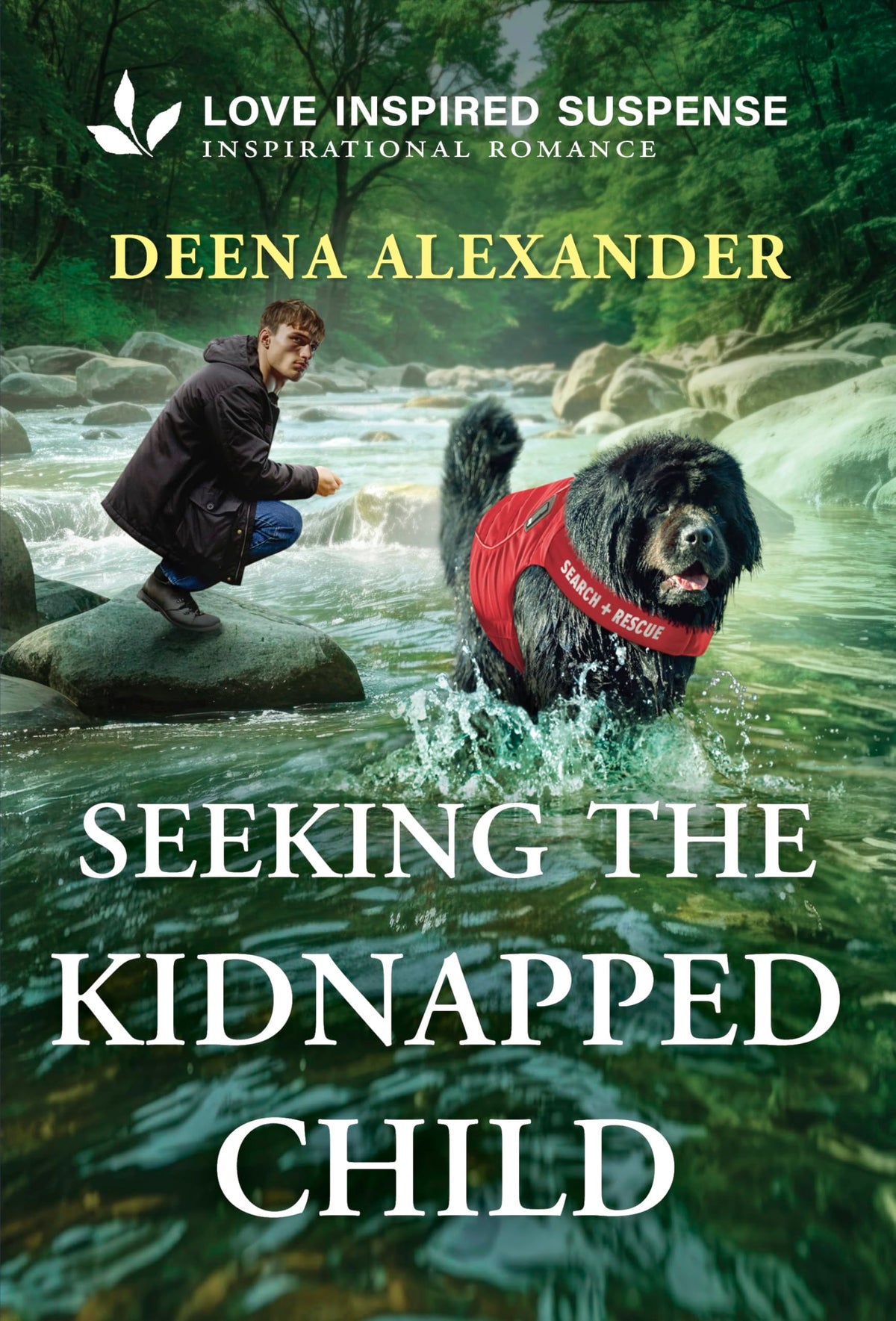 Seeking the Kidnapped Child (Missing Person Investigations, 1)