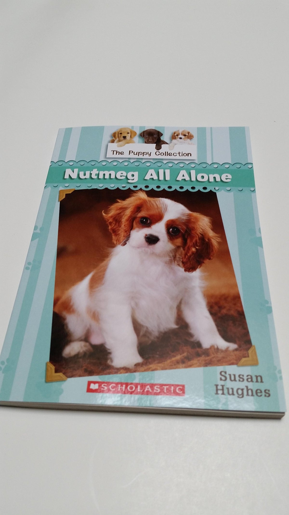 The Puppy Collection #8: Nutmeg All Alone