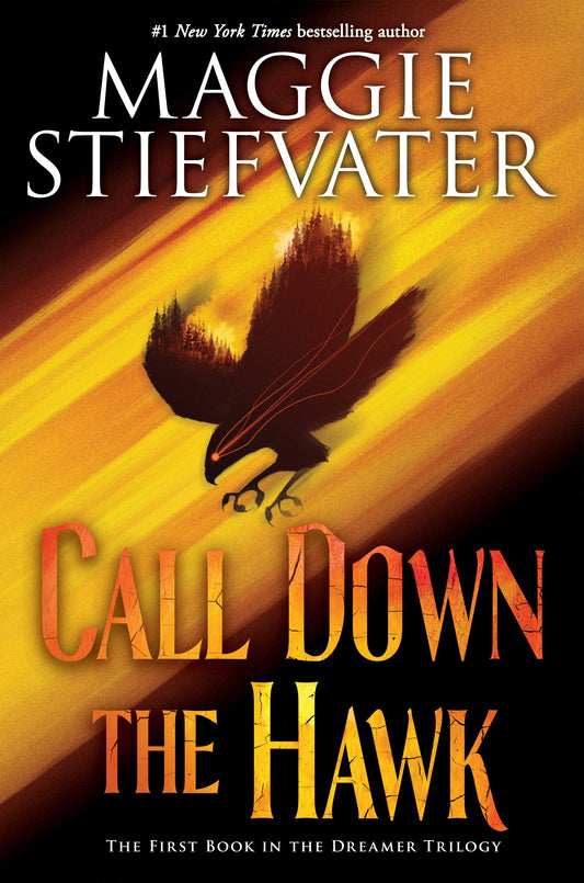 Call Down the Hawk (The Dreamer Trilogy, Book 1) (1) - 3100